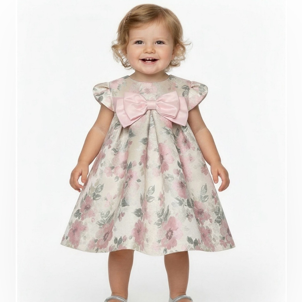 Bonnie Baby Baby Girl Floral Jacquard Trapeze Dress